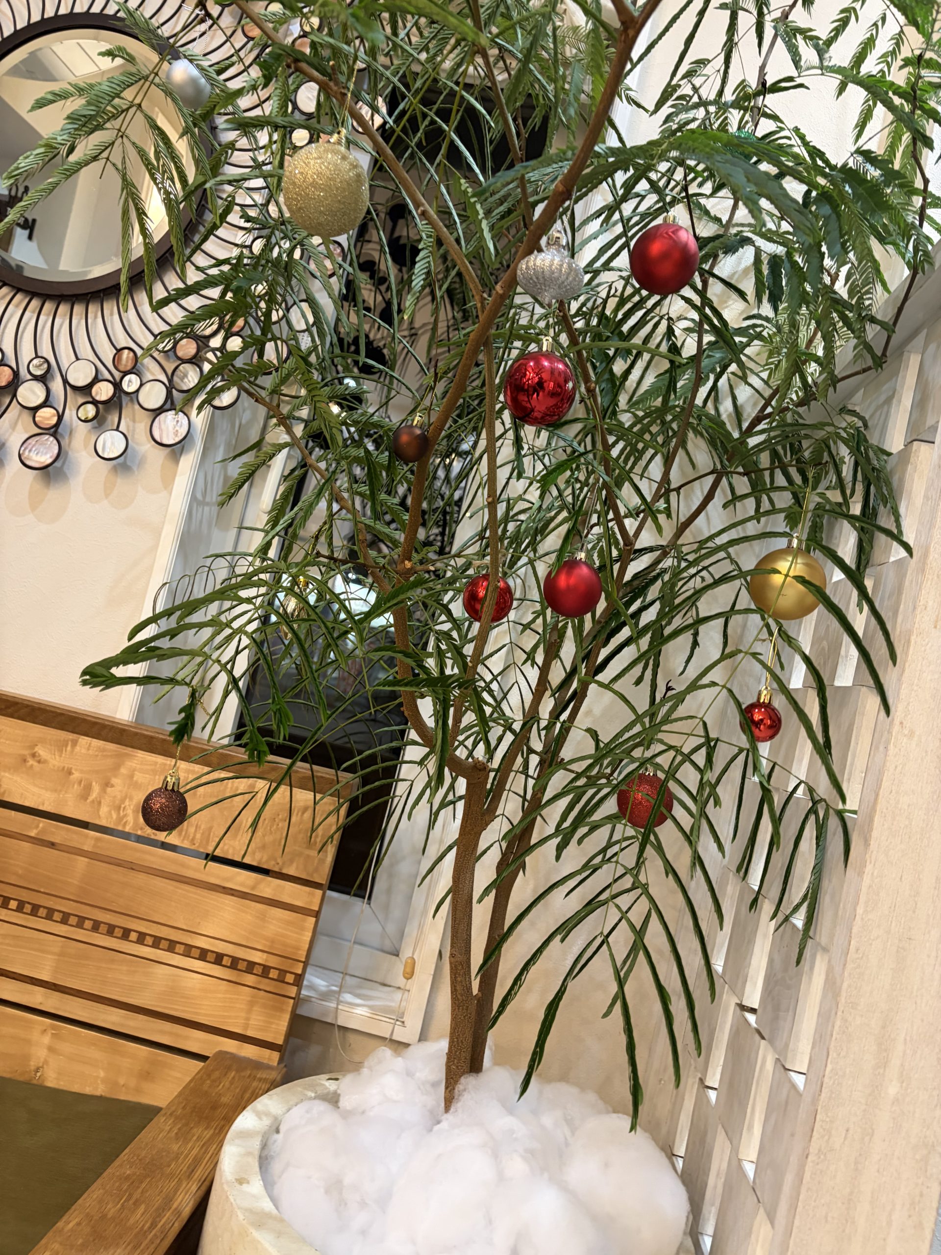 12月のご来店、心よりお待ちしております！！