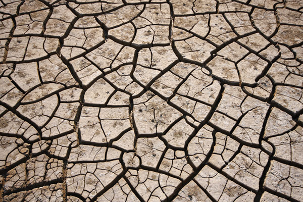 早めの対策をしましょう！